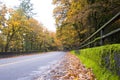 Autumn landscape with road and tunnel in the forest Royalty Free Stock Photo