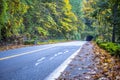 Tunnel through rock with autumn trees around and straight road Royalty Free Stock Photo