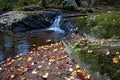 Autumn landscape - rocks covered with moss, fallen leaves. Mountain river with a waterfall Royalty Free Stock Photo