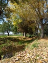 Autumn landscape in Rome Royalty Free Stock Photo