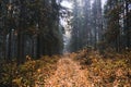 Autumn landscape. Russia. Ural