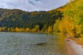 Autumn landscape. Saint Ana lake in Romania, the only volcanic lake in Europe, formed in a crater of a dead volcano Royalty Free Stock Photo