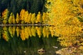 Autumn landscape. Saint Ana lake in Romania, the only volcanic lake in Europe, formed in a crater of a dead volcano Royalty Free Stock Photo