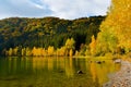 Autumn landscape. Saint Ana lake in Romania, the only volcanic lake in Europe, formed in a crater of a dead volcano Royalty Free Stock Photo