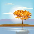 Autumn landscape scenery tree orange yellow foliage, lake, park, nature horizon. Vector illustration isolated