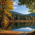 Autumn landscape in (seven lakes) Yedigoller Park Bolu, Turkey made with Generative AI