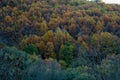 Autumn landscape with shades of green, yellow, red, ocher, brown fall colors in Valle del Ambroz horizontally Royalty Free Stock Photo