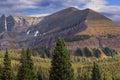 Autumn Sheep Mountain Lizard Head Pass San Juan Mountains Royalty Free Stock Photo