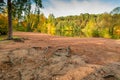 autumn landscape, shore of a lake, close-up tree roots