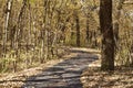 Scenic close up view of a trail leading into a wooded nature park on a sunny day Royalty Free Stock Photo