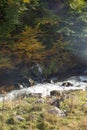 Autumn landscape with a small river in the forest. Colorful autumn forest Royalty Free Stock Photo