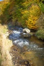 Autumn landscape with a small river in the forest. Colorful autumn forest Royalty Free Stock Photo