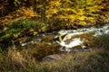 Autumn landscape with a small river in the forest. Colorful autumn forest Royalty Free Stock Photo