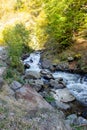 Autumn landscape with a small river in the forest. Colorful autumn forest Royalty Free Stock Photo