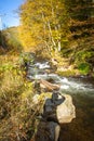 Autumn landscape with a small river in the forest. Colorful autumn forest Royalty Free Stock Photo