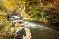 Autumn landscape with a small river in the forest. Colorful autumn forest Royalty Free Stock Photo