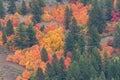 Autumn Landscape in Snake River Canyon Idaho Royalty Free Stock Photo