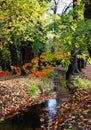 Autumn landscape near the city of Topolcany, Slovakia