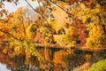 Autumn landscape on sunny day Royalty Free Stock Photo