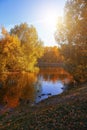 Autumn landscape of sunny park with golden trees and pond under sunshine