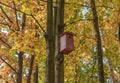 Autumn landscape yellowed trees birdhouse hanging on a tree