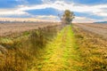 Autumn landscape - sunset over field road, cloudy sky and trees Royalty Free Stock Photo