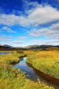 Autumn landscape in Thingvellir National Park. Mountain stream.