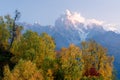 Autumn Landscape with birch forest and mountain peak Ushba Royalty Free Stock Photo
