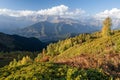 Autumn Landscape with birch forest and mountain range Royalty Free Stock Photo