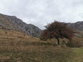 Autumn landscape of the Trascaului Mountains Royalty Free Stock Photo