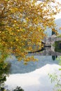 Autumn landscape from Trebinje Royalty Free Stock Photo