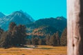 Autumn landscape, trees on the background of mountains, mountains, nature