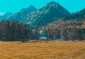 Autumn landscape, trees on the background of mountains, mountains, nature