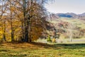 Autumn landscape, trees with colorful leaves, frost on green grass, autumn mountain in fog in the background. Royalty Free Stock Photo