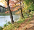 Autumn landscape with trees