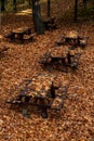 Autumn landscape with trees and leaves in the forest on the ground after rain. Bench on picnic area. Royalty Free Stock Photo