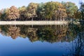 Autumn landscape. Trees are reflected in the blue water of a calm lake in the park. Idyllic picturesque nature