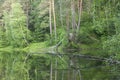 Autumn landscape. Trees reflection on calm blue water. Green forest reflected in lake. Blue background. Clear sky. Tranquil place Royalty Free Stock Photo