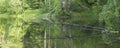 Autumn landscape. Trees reflection on calm blue water. Green forest reflected in lake. Blue background. Clear sky. Tranquil place Royalty Free Stock Photo