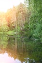 Autumn landscape. Trees reflection on calm blue water. Green forest reflected in lake. Blue background. Clear sky. Tranquil place Royalty Free Stock Photo