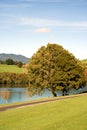 Autumn landscape, trees, river and meadow