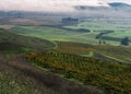 .Autumn Landscape of Trees and Vinyard Royalty Free Stock Photo