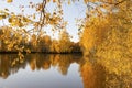 Autumn landscape, trees with yellow fallen leaves reflected in the water of the lake Royalty Free Stock Photo