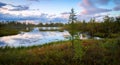 Autumn landscape in the tundra. Mountains, volcanoes, lakes, colored yellow leaves, bright colors Royalty Free Stock Photo