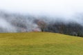 Autumn landscape of valley and forest hills with lonely tree and clouds Royalty Free Stock Photo