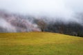 Autumn landscape of valley and forest hills with lonely tree and clouds Royalty Free Stock Photo