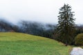 Autumn landscape of valley and forest hills with lonely tree and clouds Royalty Free Stock Photo