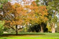 Autumn landscape, Vasona Lake County Park, San Francisco bay area, Los Gatos, California Royalty Free Stock Photo