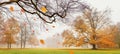 Autumn landscape - view of a foggy autumn park with paths Royalty Free Stock Photo