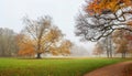 Autumn landscape - view of a foggy autumn park with paths and fallen leaves Royalty Free Stock Photo